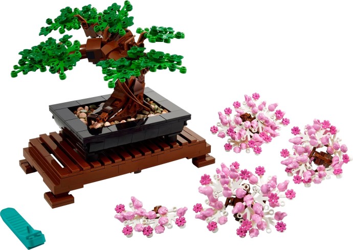 Drzewko bonsai