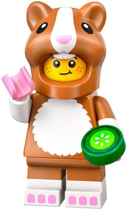 LEGO #71048